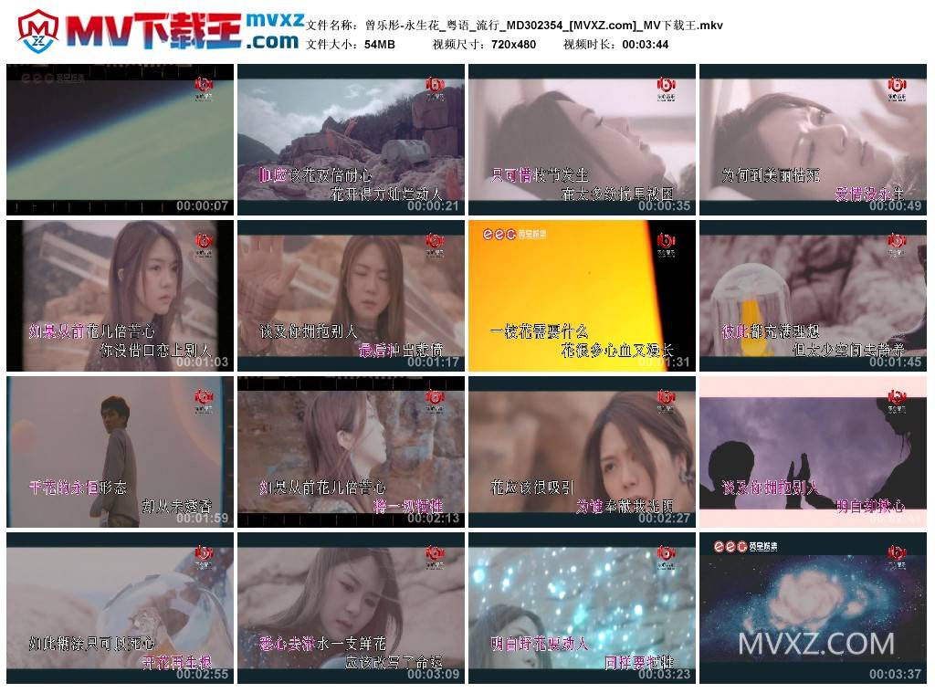 曾乐彤-永生花_粤语_流行_MD302354